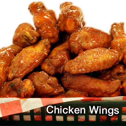 WINGS2